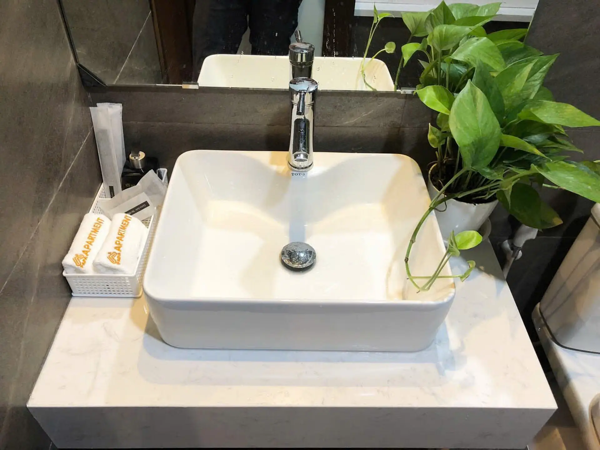 Papa Apartment　洗面