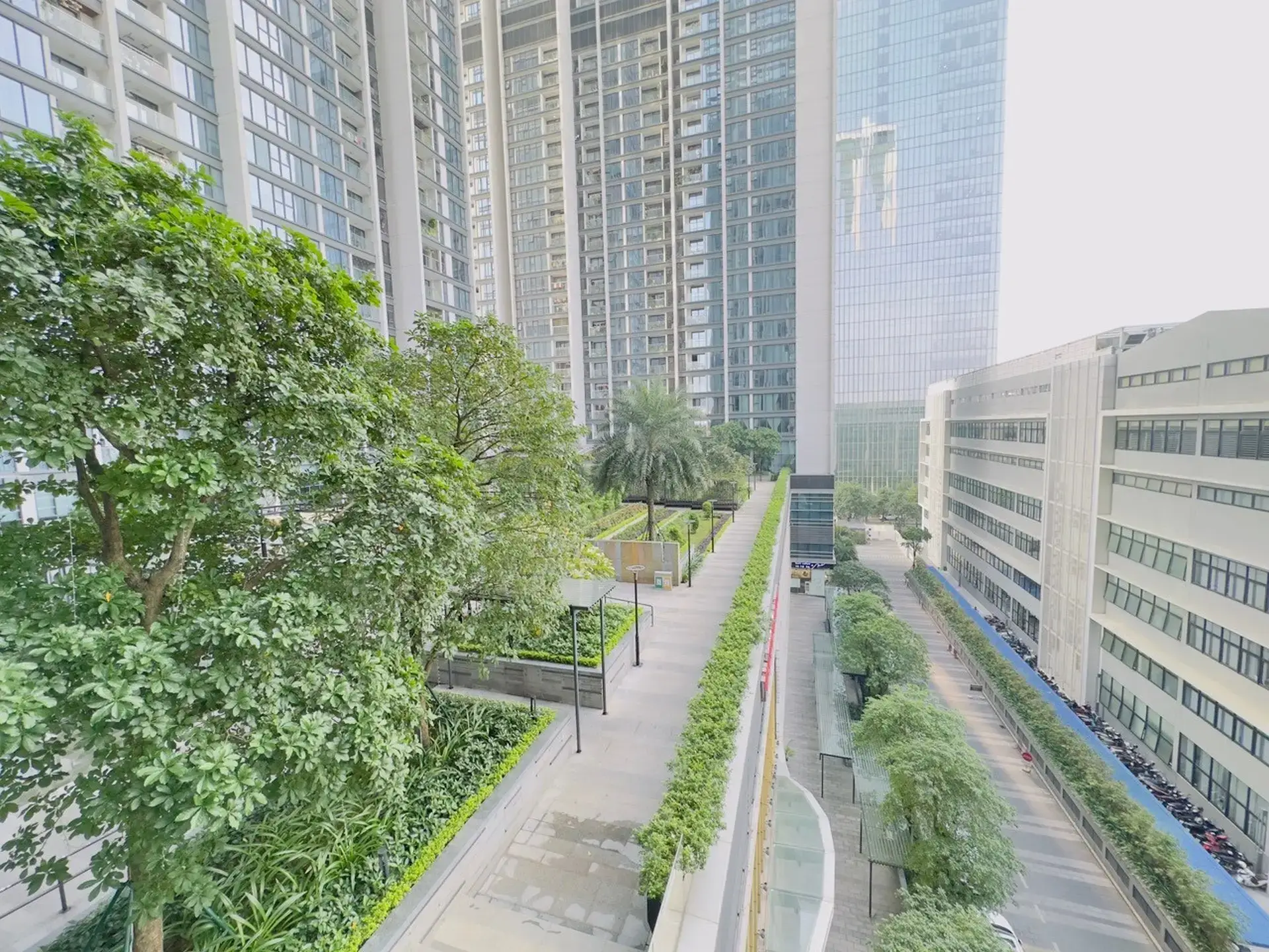 ベランダからの眺め